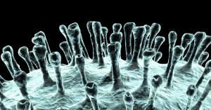 Capito's COVID-19 (Coronavirus) Business Continuity Plan