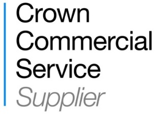 Public Sector, Crown commercial supplier